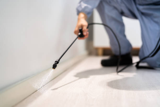Bed Bug Pre-Treatment Preparation Assessment in Messiah College