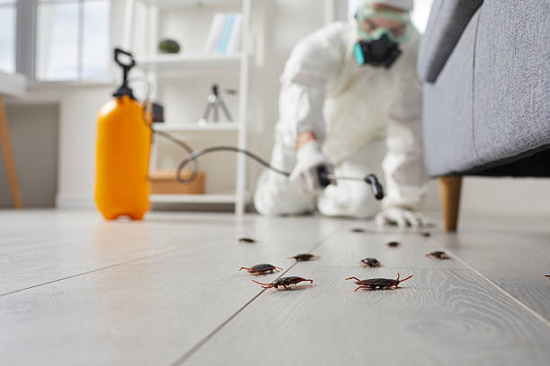 Post-Treatment Bed Bug Interceptor Monitoring in Messiah College